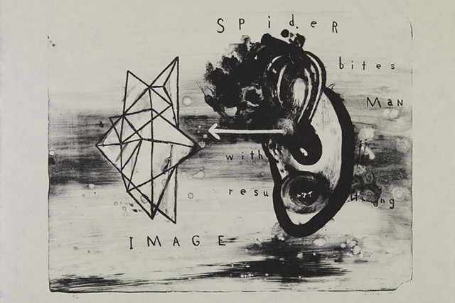 \"Spider Bites Man with Resulting Image\", 2008